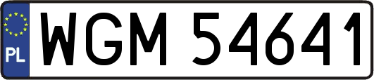 WGM54641