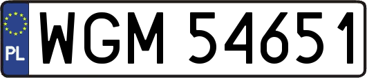 WGM54651