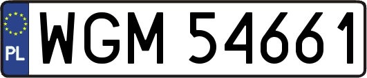 WGM54661