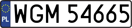 WGM54665