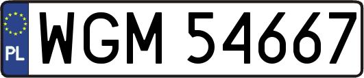 WGM54667