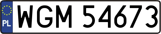 WGM54673