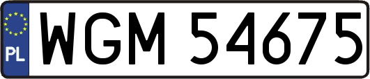 WGM54675