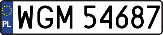 WGM54687