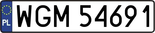 WGM54691