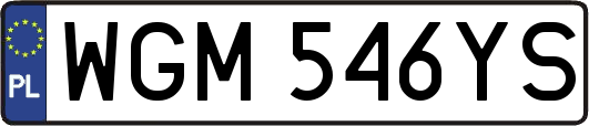 WGM546YS