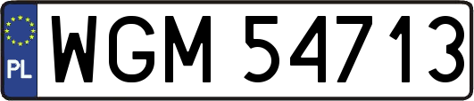WGM54713