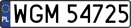 WGM54725