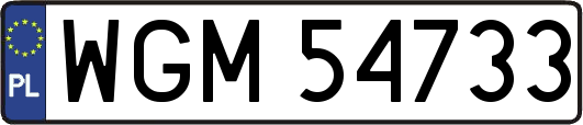 WGM54733
