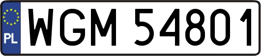 WGM54801