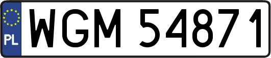 WGM54871