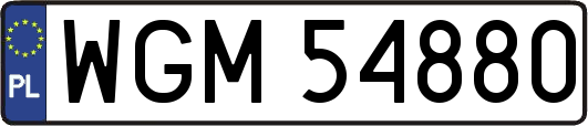 WGM54880