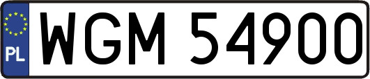 WGM54900
