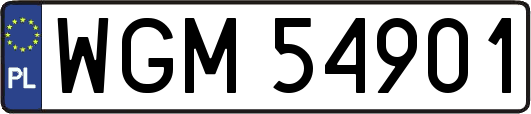 WGM54901