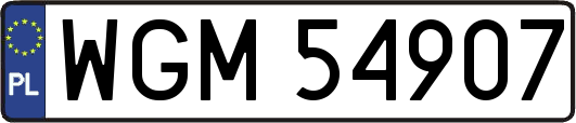 WGM54907