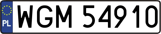 WGM54910