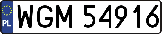 WGM54916