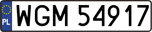 WGM54917