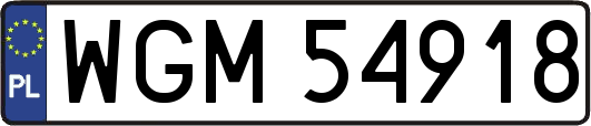 WGM54918