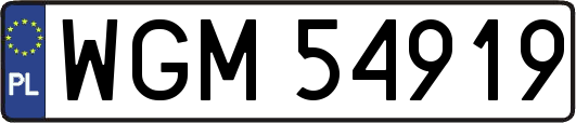WGM54919
