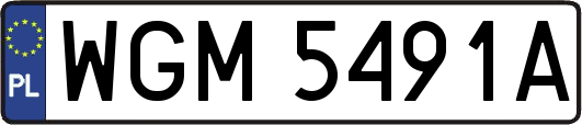 WGM5491A