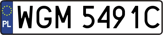 WGM5491C