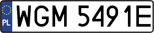 WGM5491E