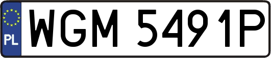 WGM5491P