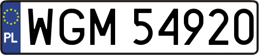 WGM54920