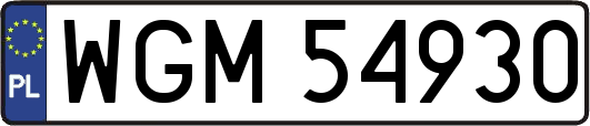 WGM54930
