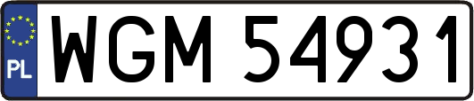 WGM54931