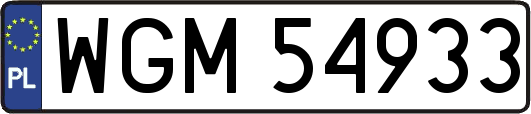 WGM54933