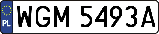 WGM5493A