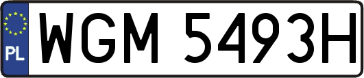WGM5493H