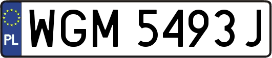 WGM5493J