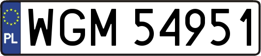 WGM54951