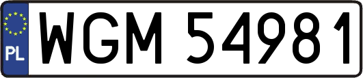 WGM54981