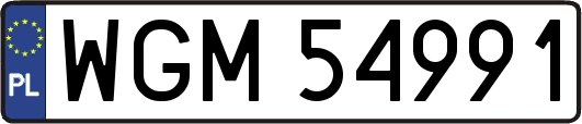 WGM54991