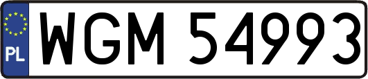 WGM54993