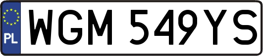 WGM549YS