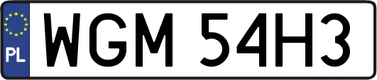 WGM54H3