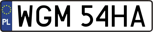 WGM54HA