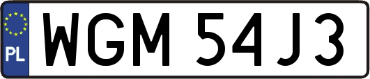 WGM54J3