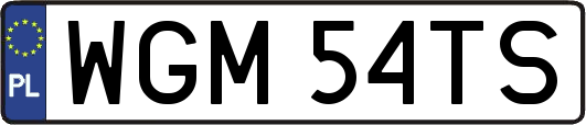 WGM54TS