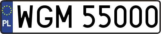 WGM55000