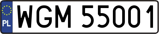 WGM55001