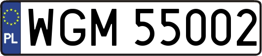 WGM55002