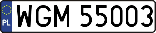 WGM55003