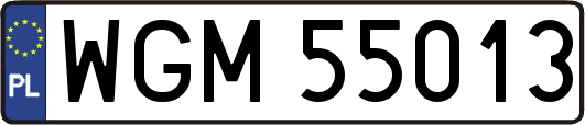 WGM55013