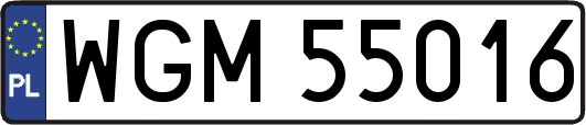 WGM55016